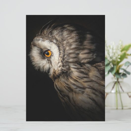 De Owl Mystical Eye | Owl Lovers Gift (Staand voorkant)
