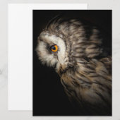 De Owl Mystical Eye | Owl Lovers Gift (Voorkant / Achterkant)