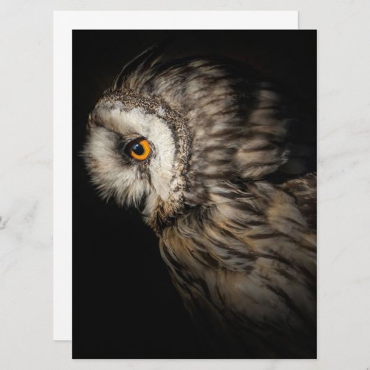 De Owl Mystical Eye | Owl Lovers Gift (Voorkant / Achterkant)