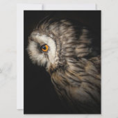 De Owl Mystical Eye | Owl Lovers Gift (Voorkant)