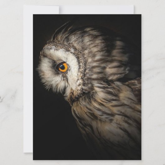 De Owl Mystical Eye | Owl Lovers Gift (Voorkant)