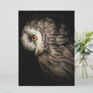 De Owl Mystical Eye | Owl Lovers Gift