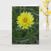 De Paardebloem Notecards van Texas (Spatie binnen) Kaart (Gele Bloem)