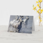 De paarden die van Camargue op te kruisen Kaart (Gele Bloem)