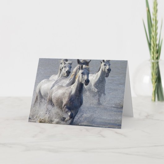 De paarden die van Camargue op te kruisen Kaart (Voorkant)