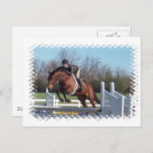 De paarden en tonen het Springen Briefkaart (Voorkant / Achterkant)