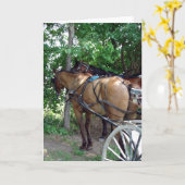 De Paarden van Amish Kaart (Gele Bloem)