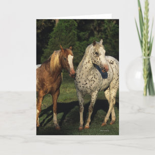 De Paarden van Appaloosa Kaart