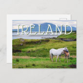 De paarden van Connemara | Galway, Ierland Briefkaart (Voorkant / Achterkant)