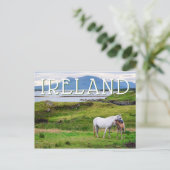 De paarden van Connemara | Galway, Ierland Briefkaart (Staand voorkant)