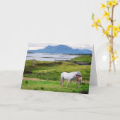 De paarden van Connemara | Galway, Ierland Kaart (Gele Bloem)