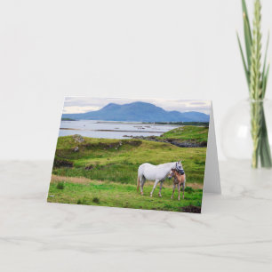 De paarden van Connemara   Galway, Ierland Kaart