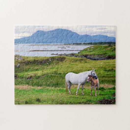 De paarden van Connemara | Galway, Ierland Legpuzzel (Horizontaal)
