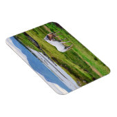 De paarden van Connemara | Galway, Ierland Magneet (Rechterzijde)