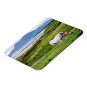De paarden van Connemara | Galway, Ierland Magneet (Linkerzijde)