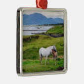 De paarden van Connemara | Galway, Ierland Metalen Ornament (Rechts)