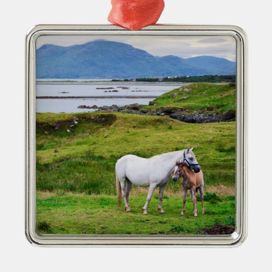 De paarden van Connemara | Galway, Ierland Metalen Ornament (Voorkant)