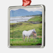 De paarden van Connemara | Galway, Ierland Metalen Ornament (Links)