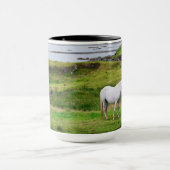 De paarden van Connemara | Galway, Ierland Mok (Midden)