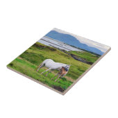De paarden van Connemara | Galway, Ierland Tegeltje (Zijkant)