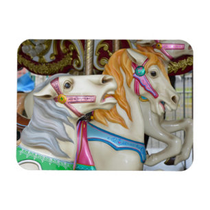 De paarden van de carrousel magneet