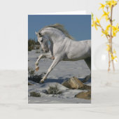 De Paarden van de fantasie: De Koning van de Kaart (Gele Bloem)