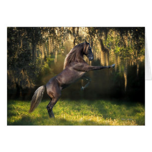 De Paarden van de fantasie: De Prins van de