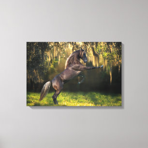 De Paarden van de fantasie: De Prins van de Canvas Afdruk