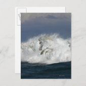 De Paarden van de fantasie: Zee Briefkaart (Voorkant / Achterkant)