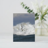 De Paarden van de fantasie: Zee Briefkaart (Staand voorkant)