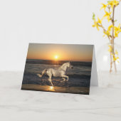 De Paarden van de fantasie: Zonsondergang Kaart (Gele Bloem)