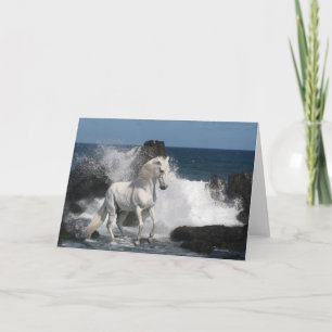 De Paarden van de fantasie: Zuidelijke Zeeen Kaart