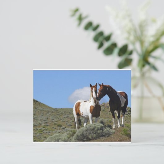 De paarden van Nuzzling Briefkaart (Staand voorkant)