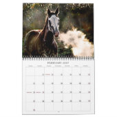 De paarden van Tien Oaks Kalender (Feb 2027)