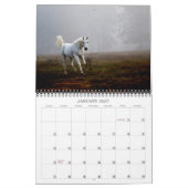 De paarden van Tien Oaks Kalender (Jan 2027)