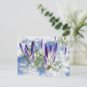 De paarse Bloem van de Krokus in de Vorst van de Briefkaart (Staand voorkant)