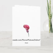 De paarse Calla Kaart van de Lelie (Achterkant)