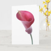 De paarse Calla Kaart van de Lelie (Gele Bloem)