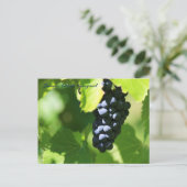 De paarse druiven van JAV St. Croix 2014 100n Briefkaart (Staand voorkant)
