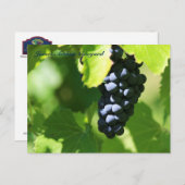 De paarse druiven van JAV St. Croix 2014 100n Briefkaart (Voorkant / Achterkant)