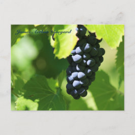 De paarse druiven van JAV St. Croix 2014 100n Briefkaart