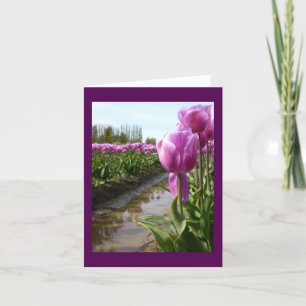 De paarse Gebieden & de Bezinningen van de Tulp Kaart