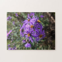 De paarse gloed van de herfst