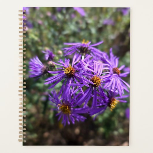 De paarse gloed van de herfst planner (Voorkant)
