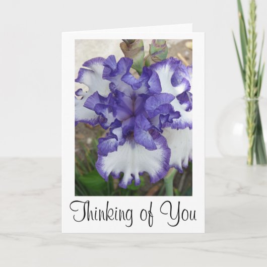 De paarse Kaart van de Bloem van de Iris, het (Voorkant)