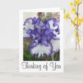 De paarse Kaart van de Bloem van de Iris, het (Gele Bloem)