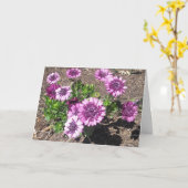 De paarse Kaart van de Verjaardag van de (Gele Bloem)