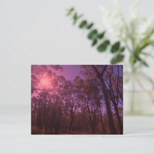 De paarse lucht briefkaart (Staand voorkant)