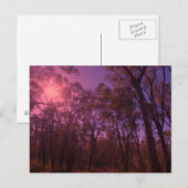 De paarse lucht briefkaart (Voorkant / Achterkant)