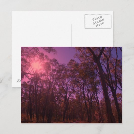 De paarse lucht briefkaart (Voorkant / Achterkant)